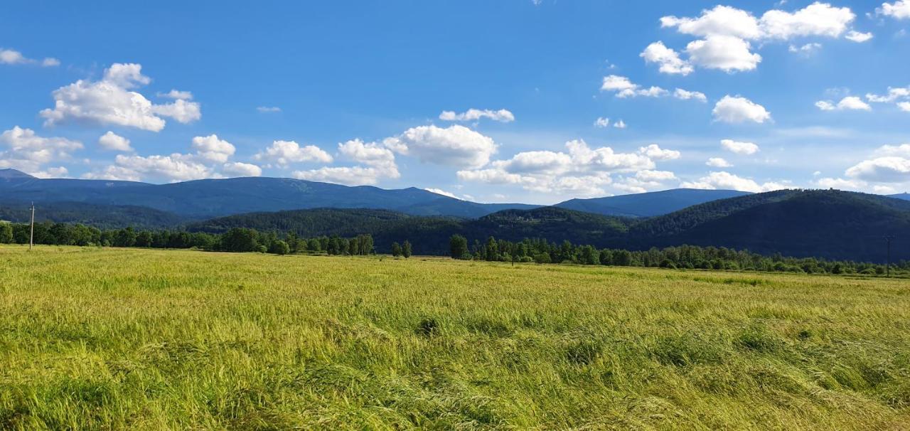 Apartament Wita Stwosza Jelenia Gora Dış mekan fotoğraf